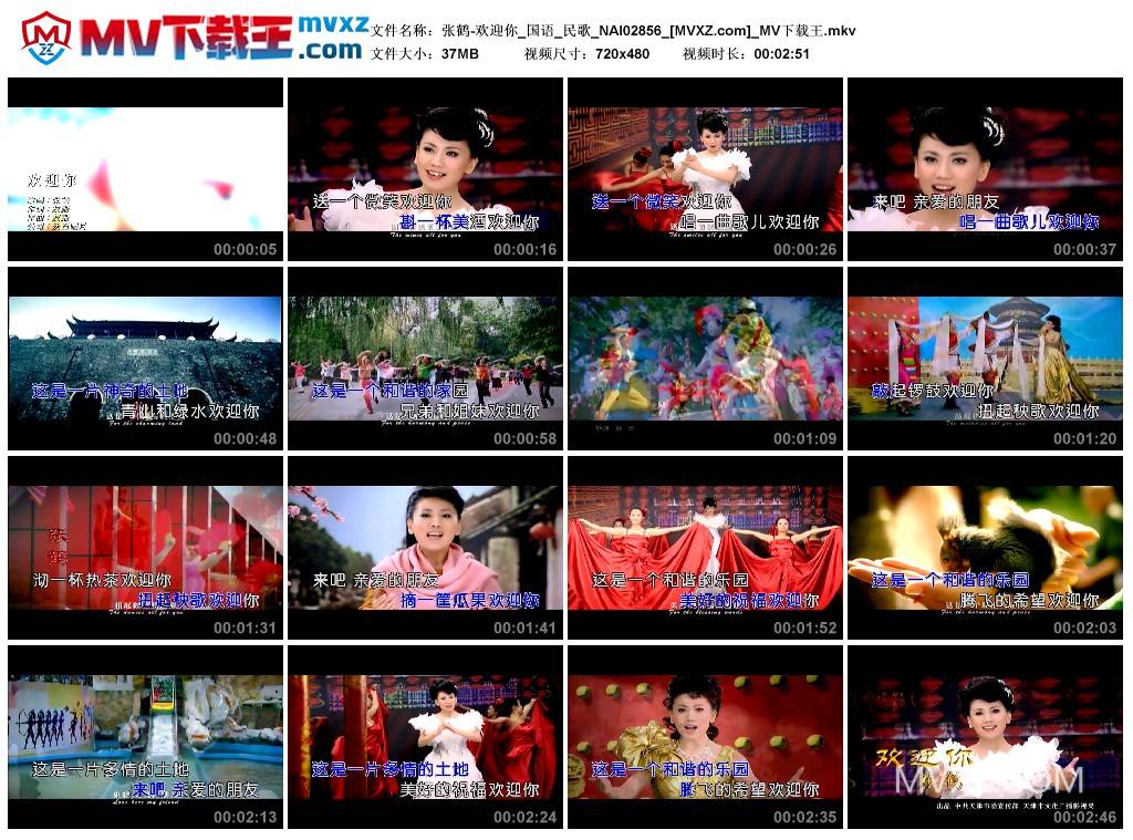 张鹤-欢迎你_国语_民歌_NAI02856